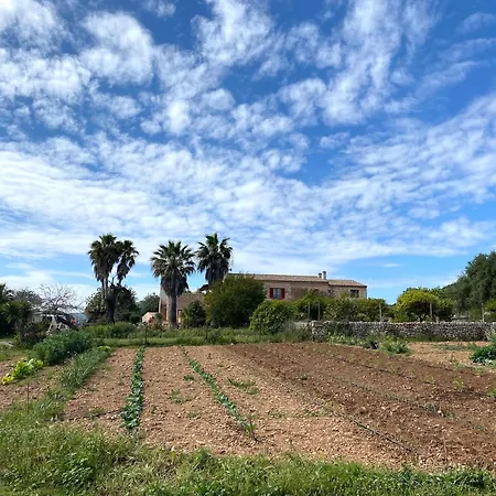 Ses Cases Noves Sant Llorenc Des Cardassar