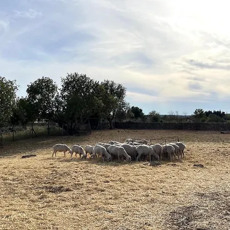 Ses Cases Noves Bauernhof Sant Llorenc Des Cardassar
