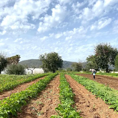 Vakantieboerderij Ses Cases Noves Sant Llorenc Des Cardassar