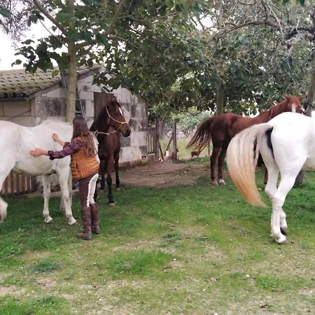 Ses Cases Noves Vakantieboerderij