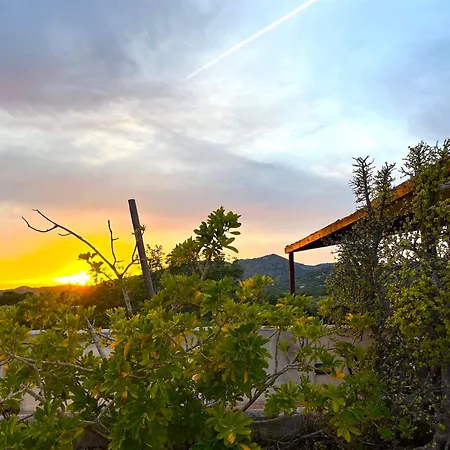 Vakantieboerderij Ses Cases Noves Sant Llorenc Des Cardassar